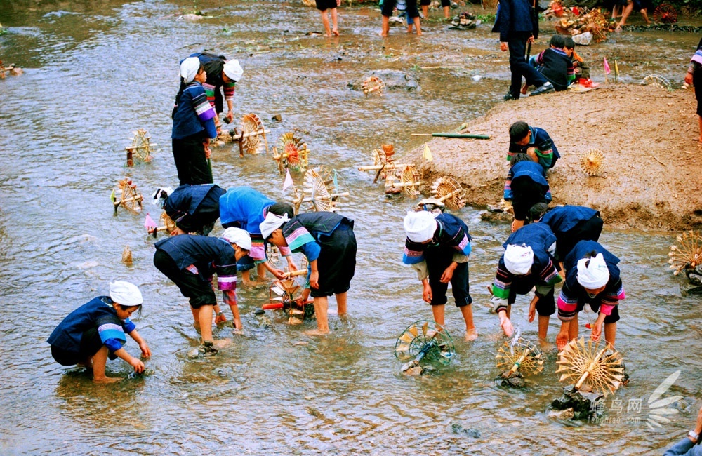 2013罗平国际油菜花文化旅游节即将开幕