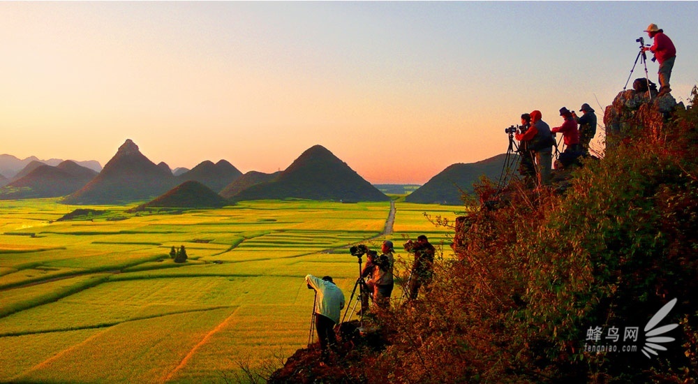 2013罗平国际油菜花文化旅游节即将开幕