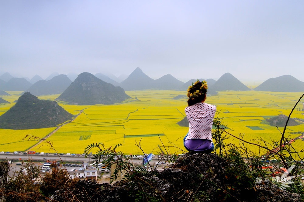 2013罗平国际油菜花文化旅游节即将开幕