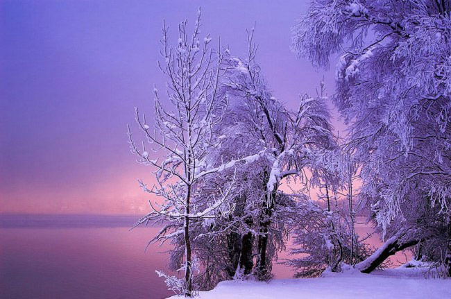 严寒中的静谧温馨 拍出世界上最美的冬雪