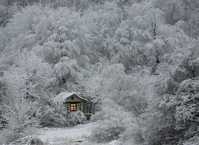 严寒中的静谧温馨 拍出世界上最美的冬雪