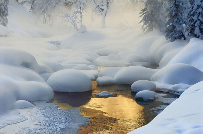 严寒中的静谧温馨 拍出世界上最美的冬雪