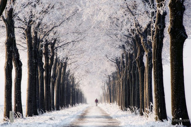 严寒中的静谧温馨 拍出世界上最美的冬雪