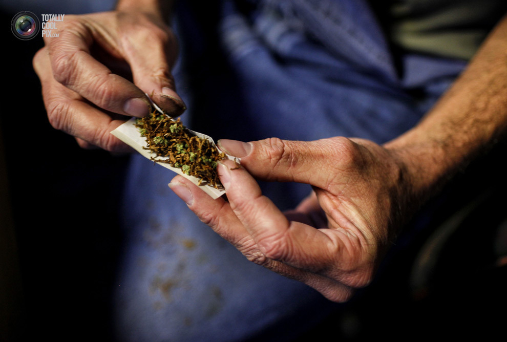 盆栽有售：图说大麻在美国的真实现状