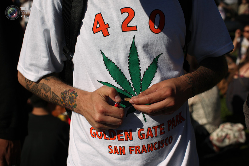 盆栽有售：图说大麻在美国的真实现状