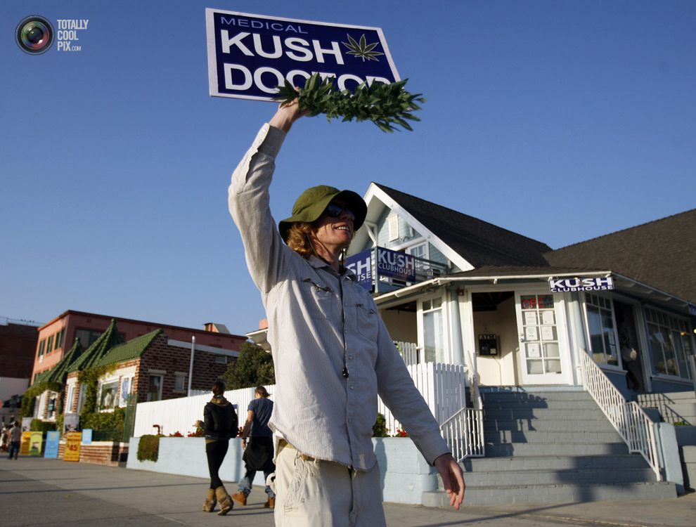 盆栽有售：图说大麻在美国的真实现状