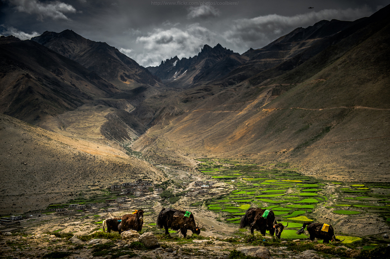 踏上通天之路 外国摄影师眼中的圣境西藏