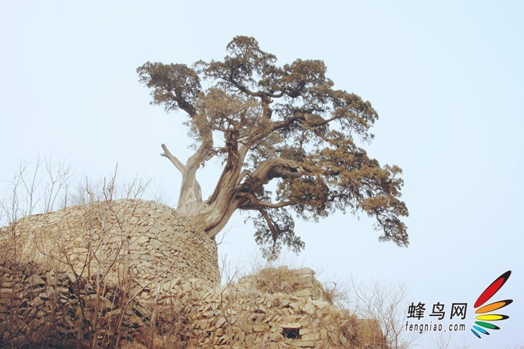 Լݾɽؾ ɲżǧһ̾