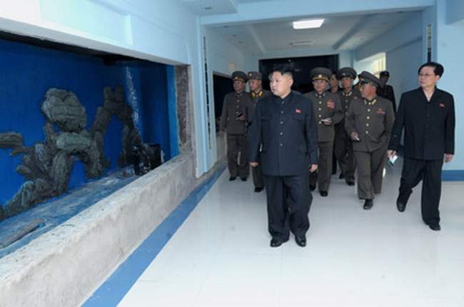 朝鲜的总视察官：图说金正恩的视察生活