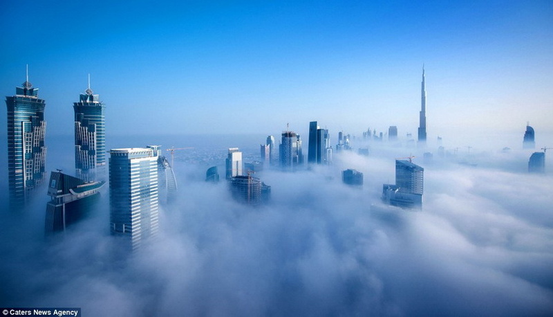 城市在云端：迪拜高楼的雾海梦幻时分