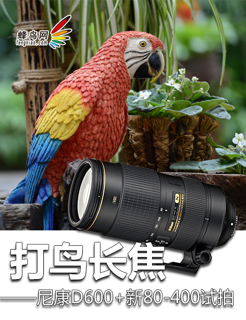 񳤽 ῵D600+80-400/4.5-5.6G