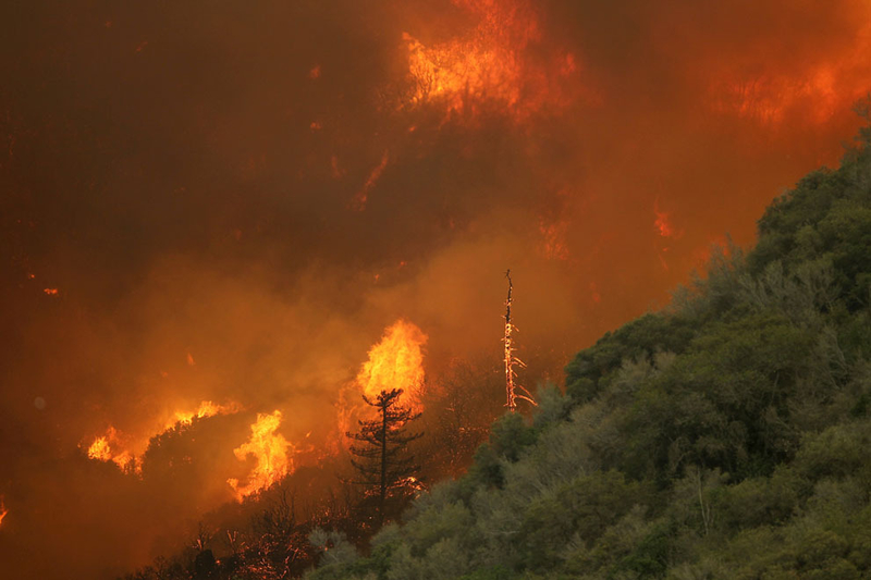 令人心悸的毁灭之美：加州森林火灾纪实