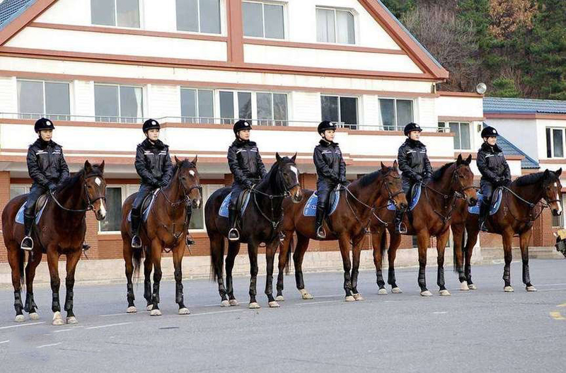 昂贵的城市名片 实拍大连女骑警训练基地