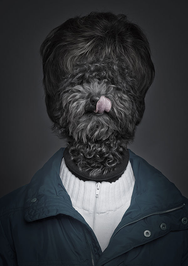 人面兽心 衣冠禽兽：有趣的动物肖像