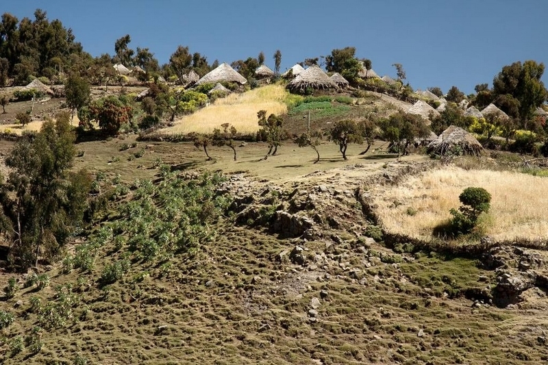 探秘“非洲屋脊” 埃塞俄比亚高原壮观美景