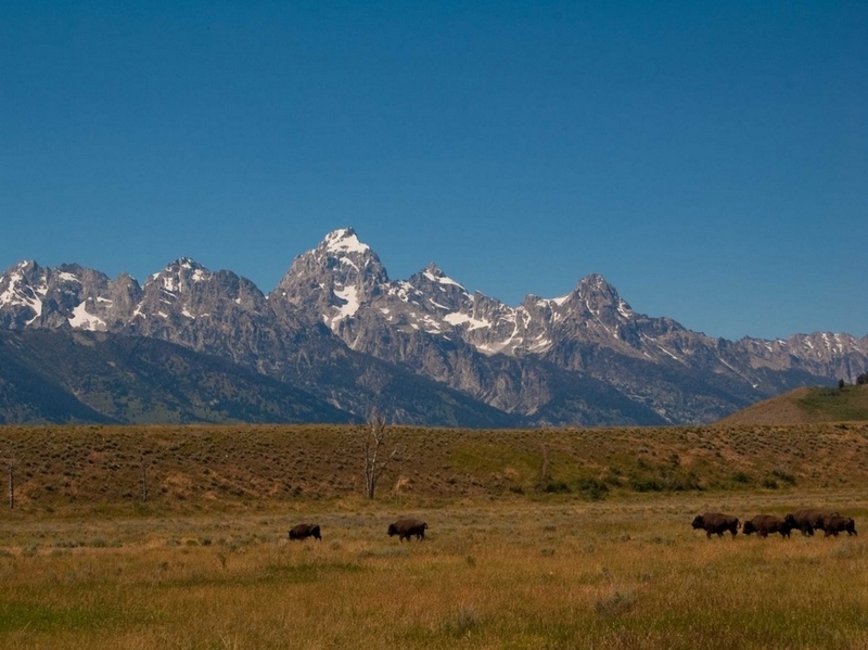 惊艳世人之美 31个美国国家公园美景