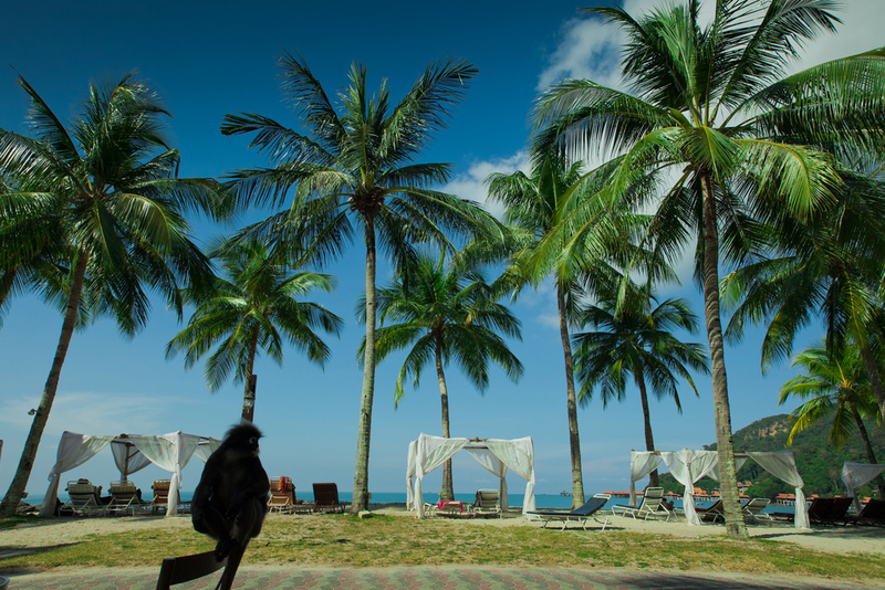 缤纷马来西亚兰卡威岛 寻找阳光与沙滩