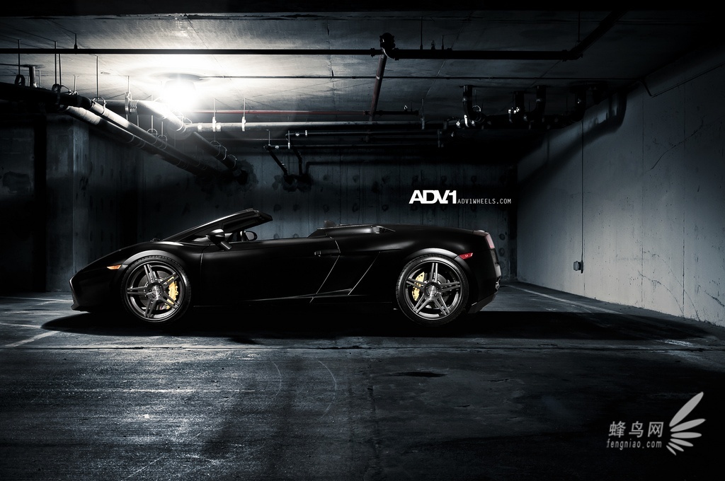 Ļ˫ɷ Gallardo