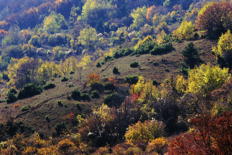 秋高气爽阿布鲁佐 意大利中部的田园风光