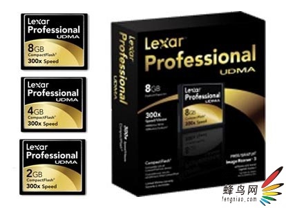 Lexar Professional 300X CFߵ