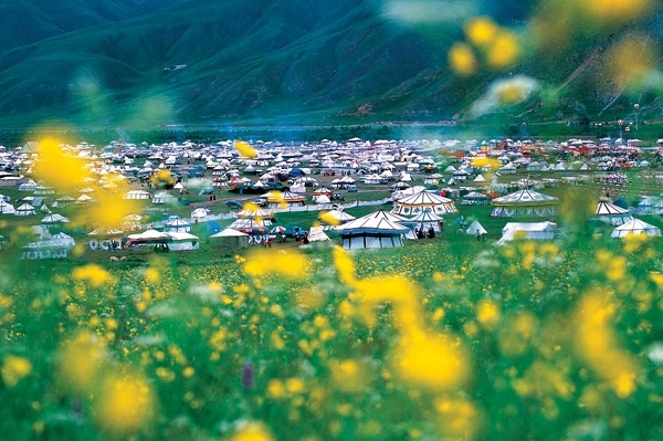 2007ӰӰʦ