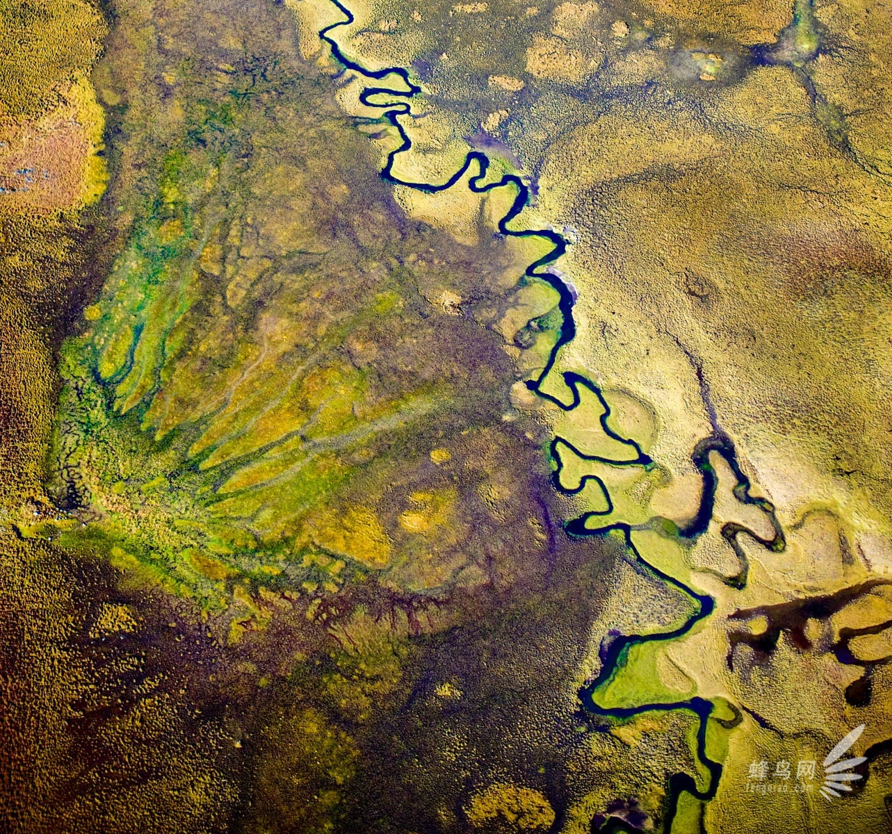 俯瞰青藏高原的神圣壮美 《高原·水源》