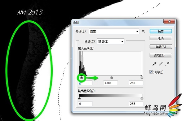 ξϸͼ