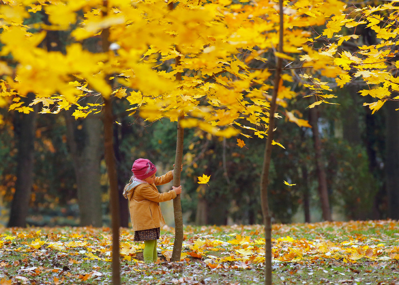 金色来袭 世界各地的最美秋季景色