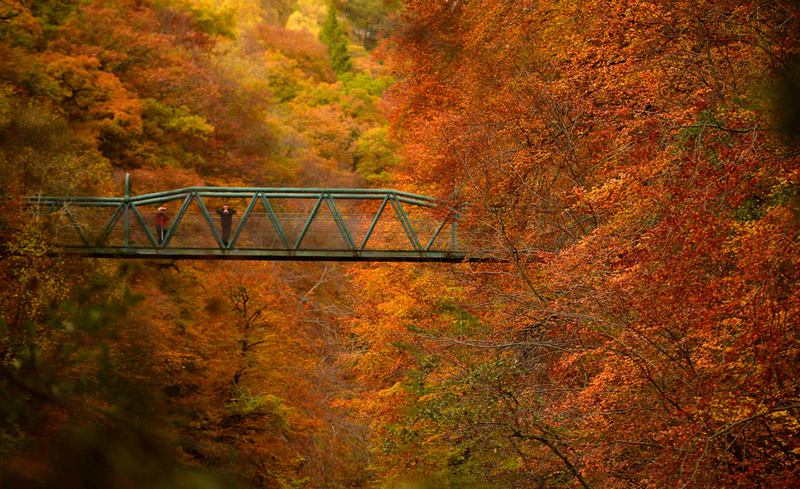 金色来袭 世界各地的最美秋季景色