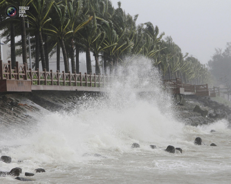 最强台风 海燕过后东南亚受灾景象