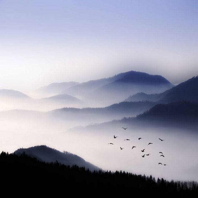 雾是无辜的 藏在雾霾阴影背后的自然美景