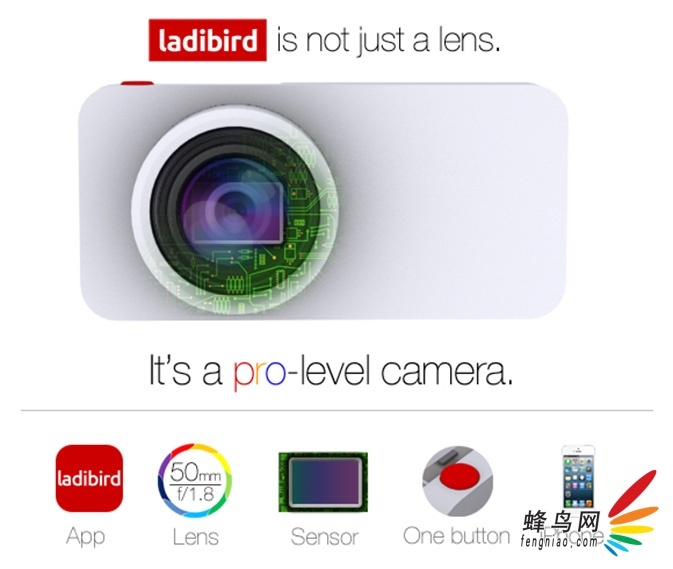 Ladibirdֻ׼ iPhoneĳЧ