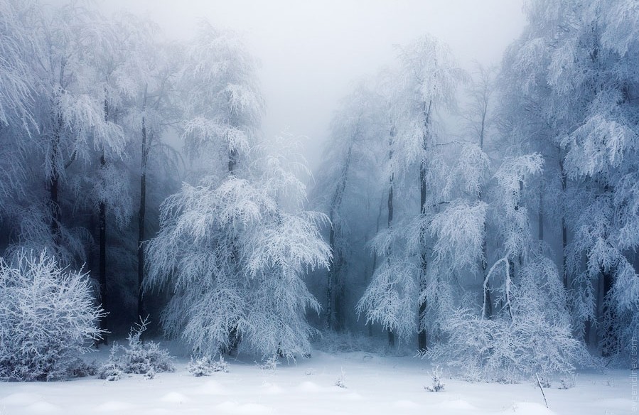 Evgeni Dinev͵ϵ۵ɫӰʦ
