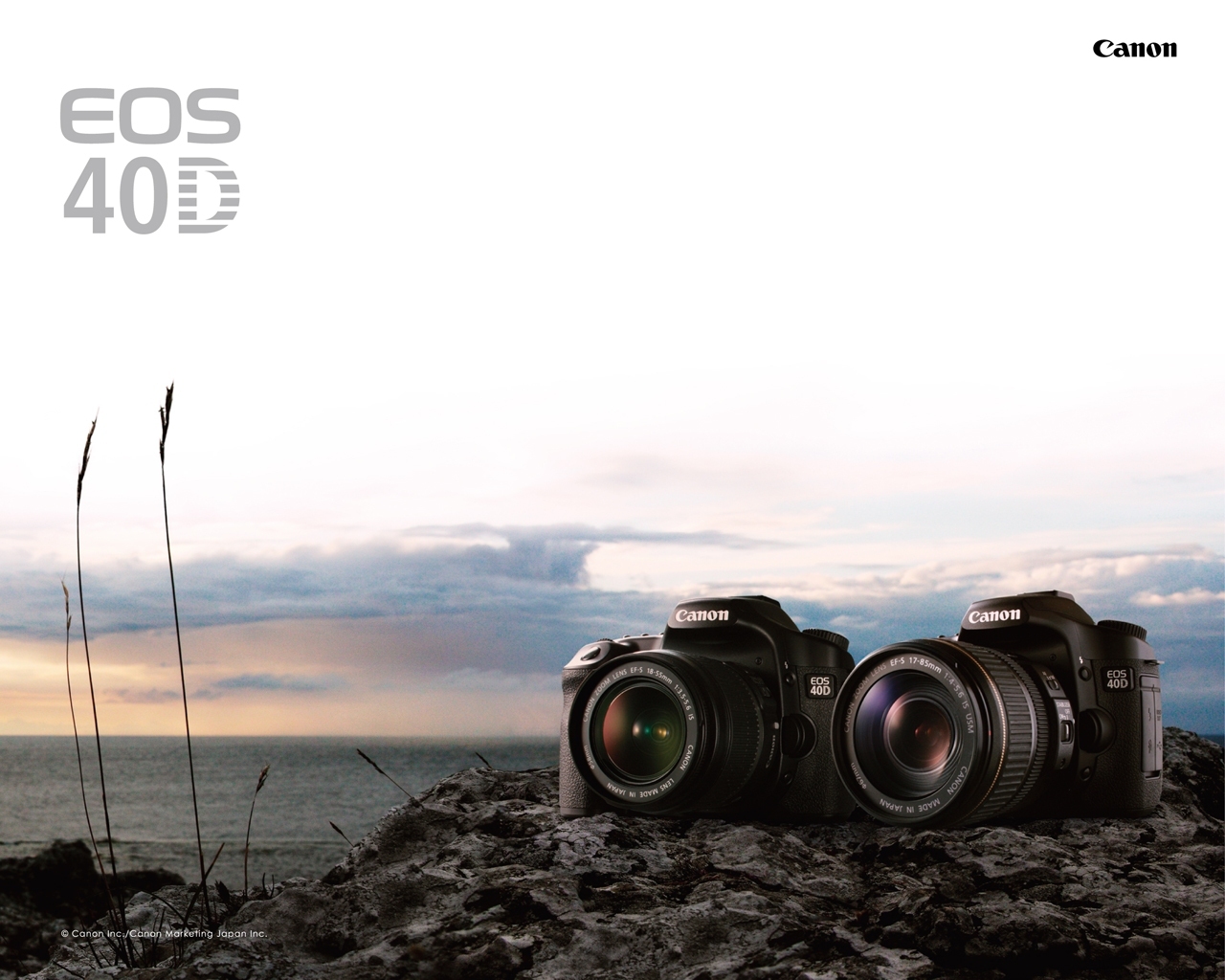 㻹EOS 40Dֽ