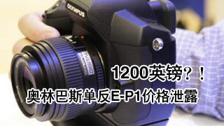 Ѩ磿DSLRƷŻ