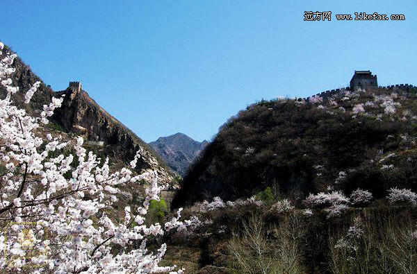 쵽 2014ȫͻƼ