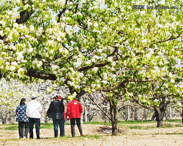 쵽 2014ȫͻƼ