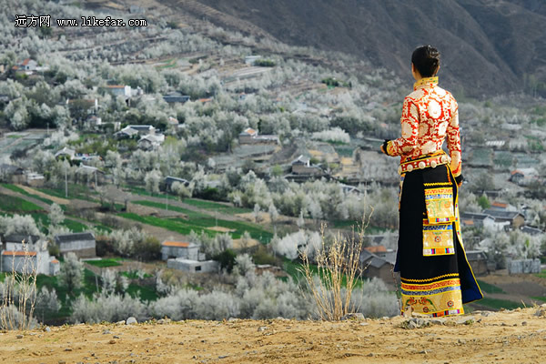 쵽 2014ȫͻƼ