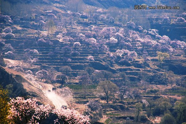 쵽 2014ȫͻƼ