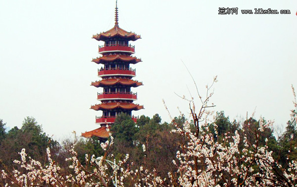 쵽 2014ȫͻƼ
