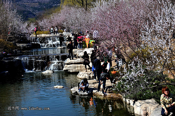 쵽 2014ȫͻƼ