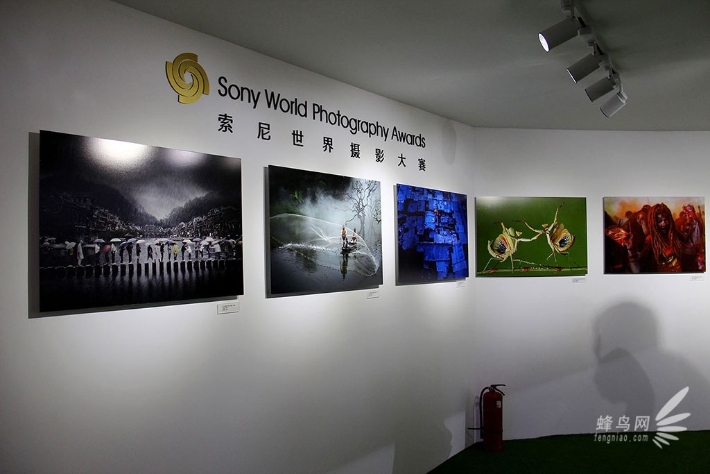 P&E2014：FIFA世界杯合作 索尼展台报道