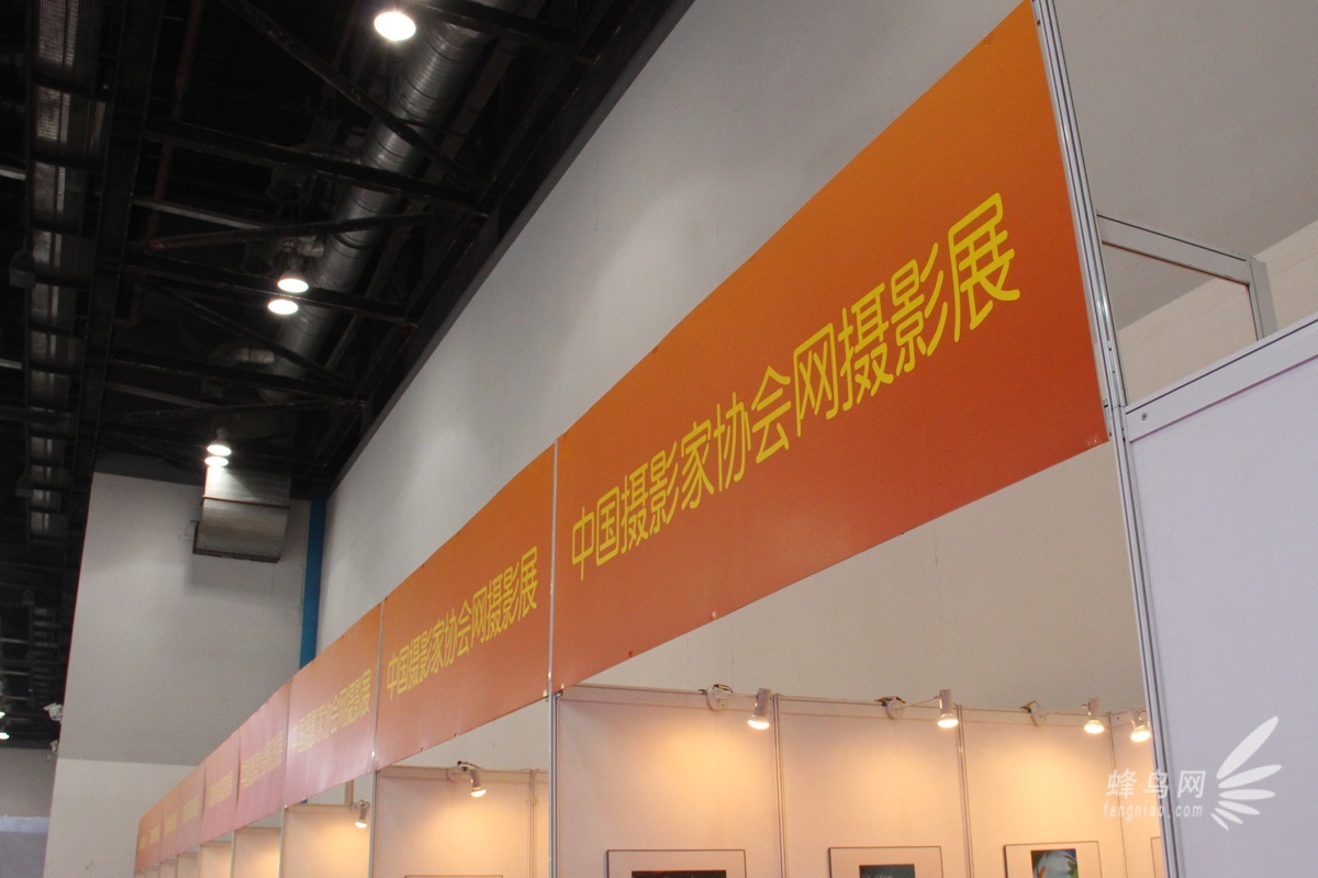 P&E2014：囊括两大主题 展会影展报道