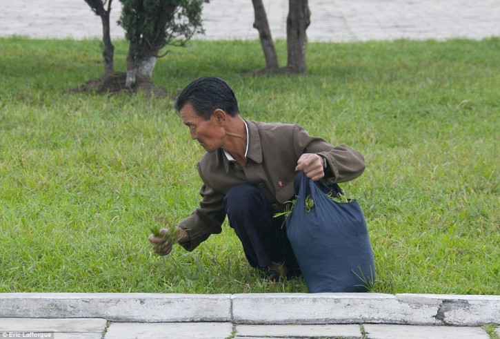 纪实摄影：金正恩最不想让你看到的照片