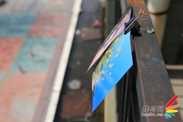 ٸʵͼ۷ Epson R330ӡ
