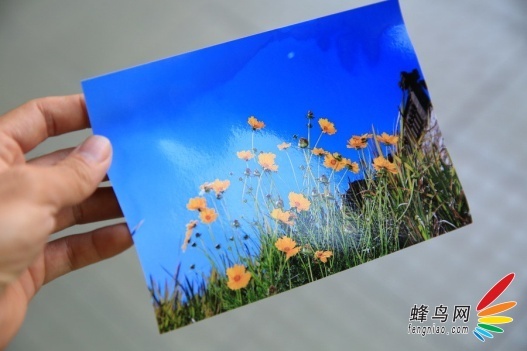 ٸʵͼ۷ Epson R330ӡ