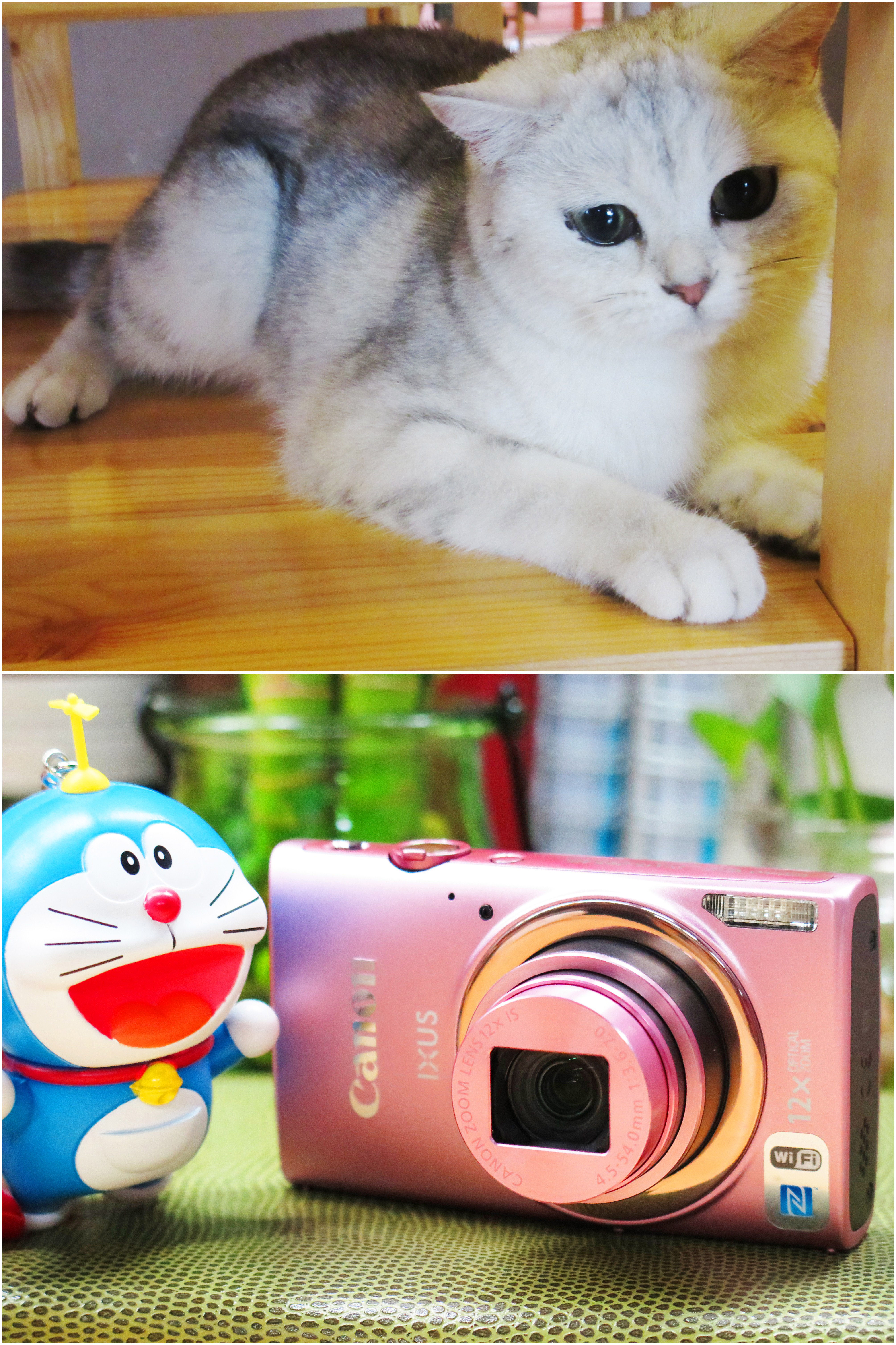 Ȥӡ,--iP2880ʹ 