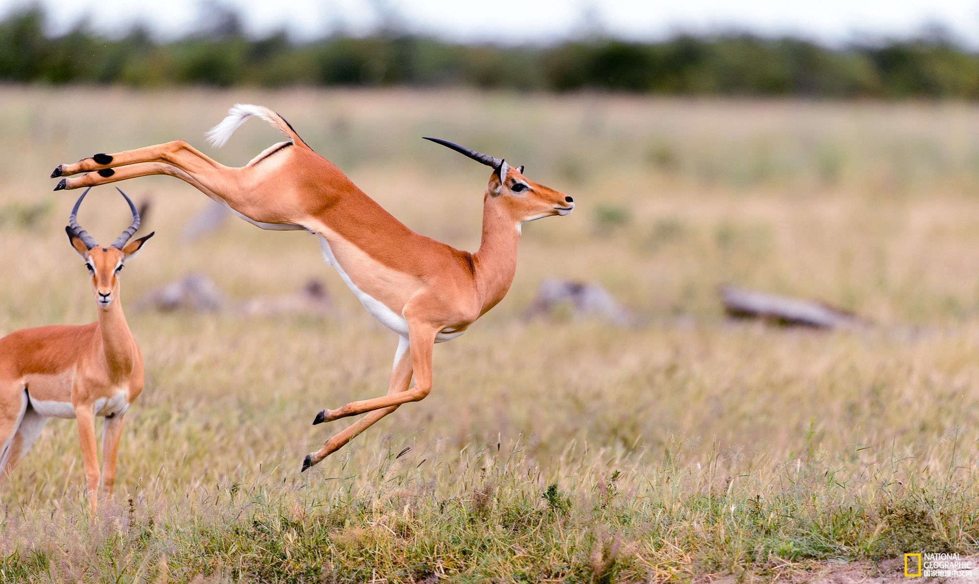 һͼһ ҵ6¾ѡͼƬ