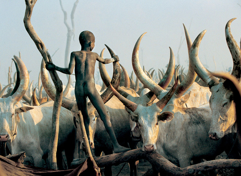 日落之地 视牛如命的南苏丹Dinka族人