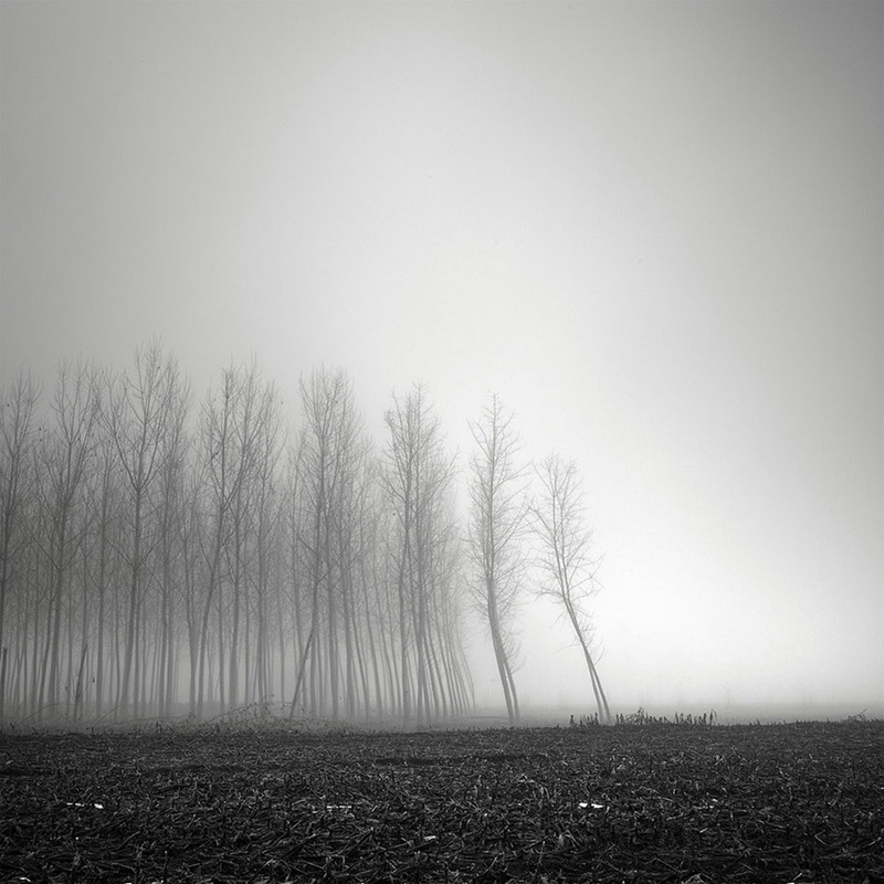 美丽荒寂的黑白风光 体育老师的迷雾森林
